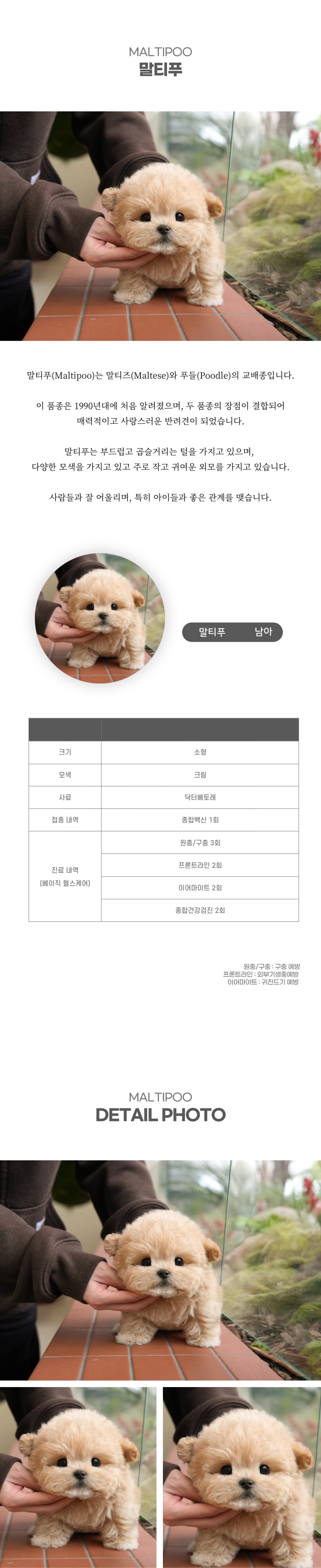 말티푸_상세이미지_2